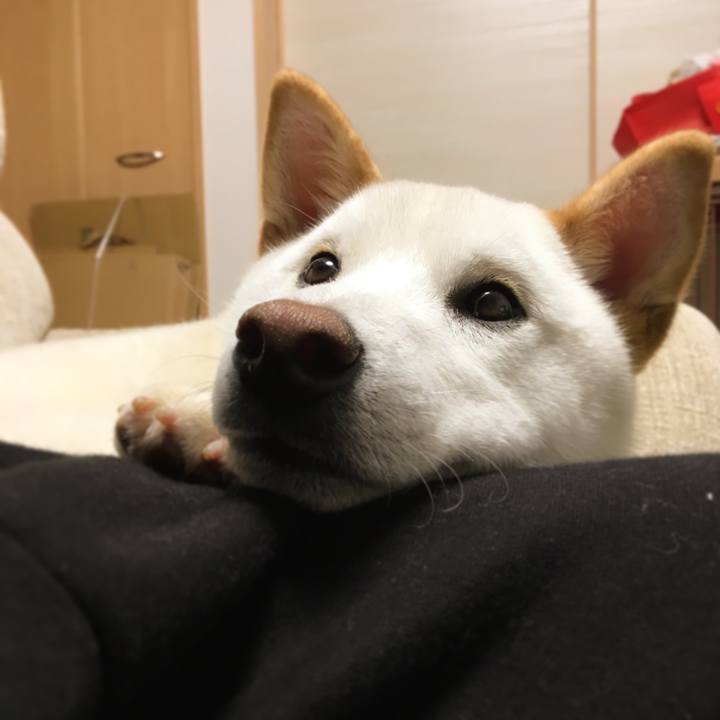 E9885b73 b0a1 4828 a76c 0e8e14ab2a62