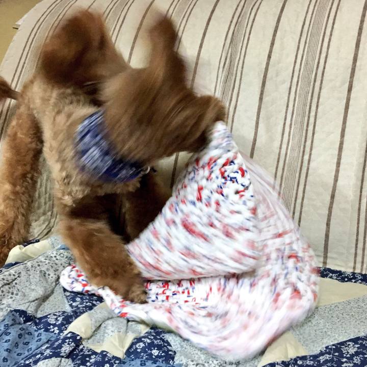 E989af66 3791 4237 9038 dca24475506c