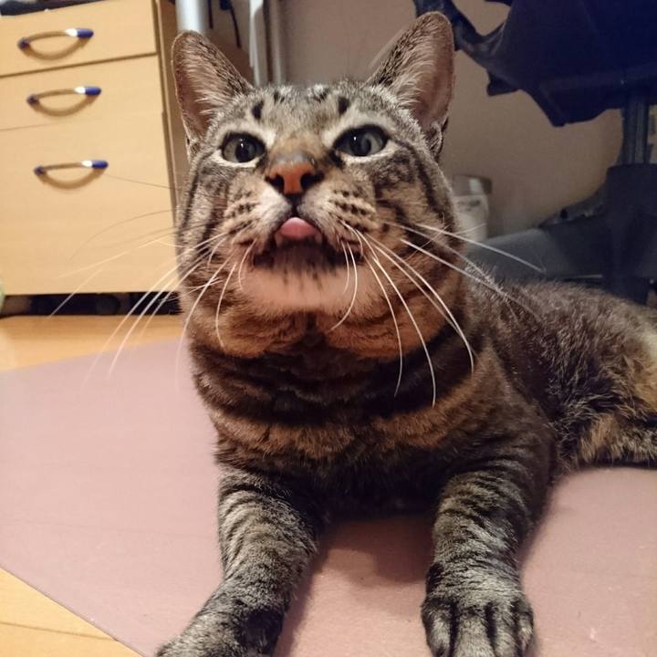 E989b082 5e3a 4a3d ad74 1c71bba32796