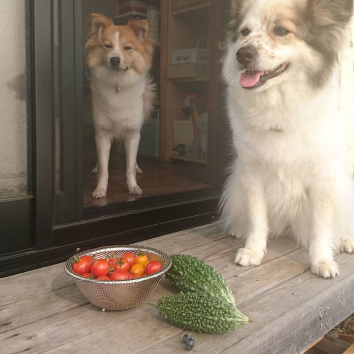 E989e3ff 17d9 43a4 857f 1fc7a5419784