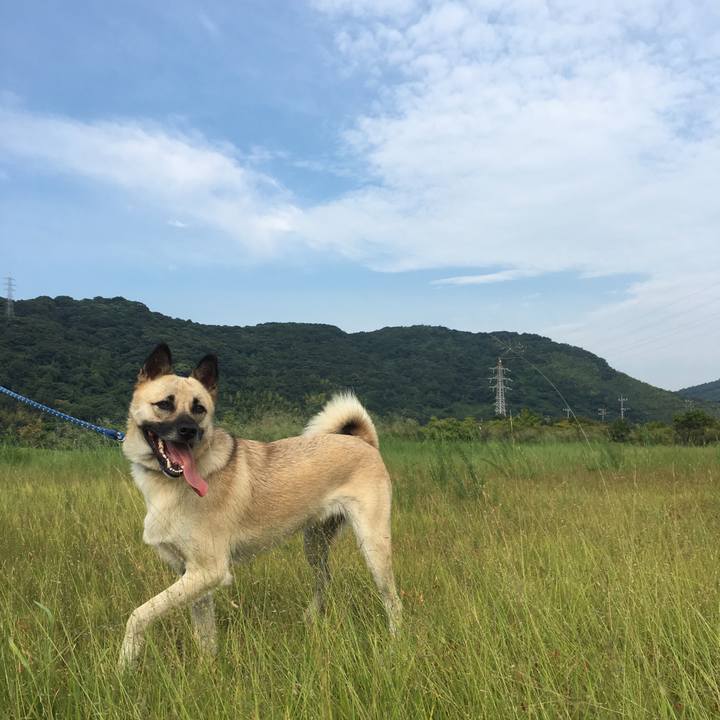 E98a5762 72c5 4056 88aa 51d4f196701d