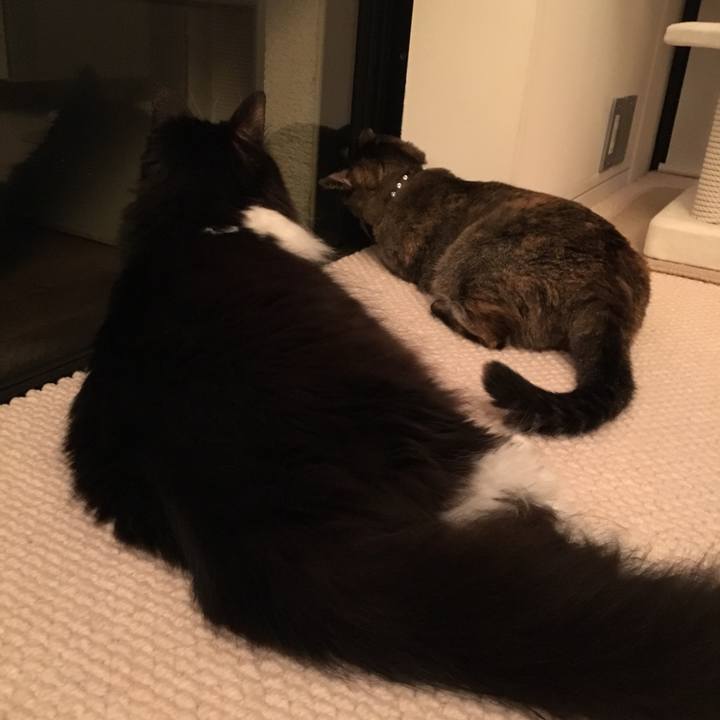 E98a611e 3d34 4c39 88de fa1705d86bbf