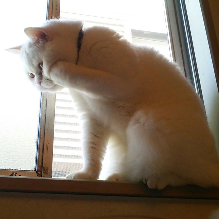 E98b869e bf44 4813 b1ec 462bffed0ad1