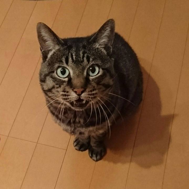 E98ba3a9 fde5 49a9 aa17 36782cc37ae8