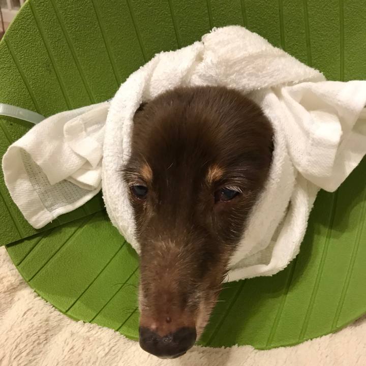 E98bc448 3c76 4541 b14f 8d04f25674f4