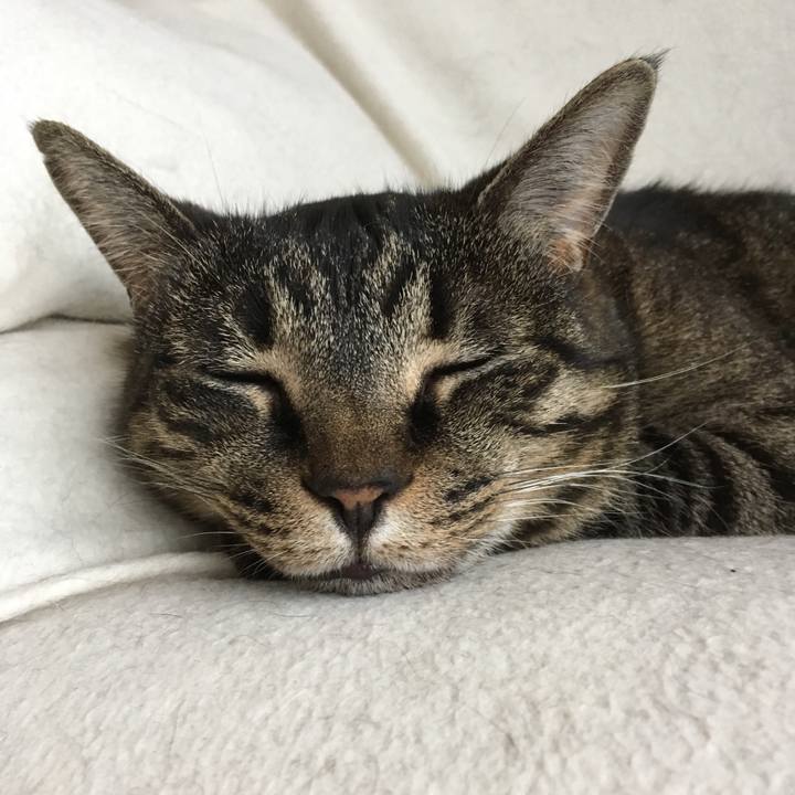 E98bca10 f1b5 462c b67b 69cdab60f0f8