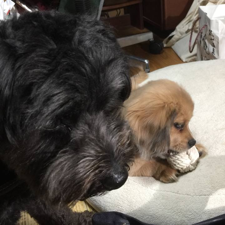 E98bd535 097f 4b3b 8f07 45b483393bf1