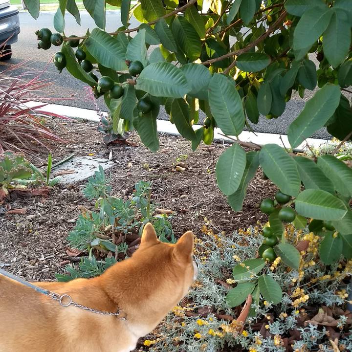 E98c3e7d 39a8 4d38 b11c 54273617db24