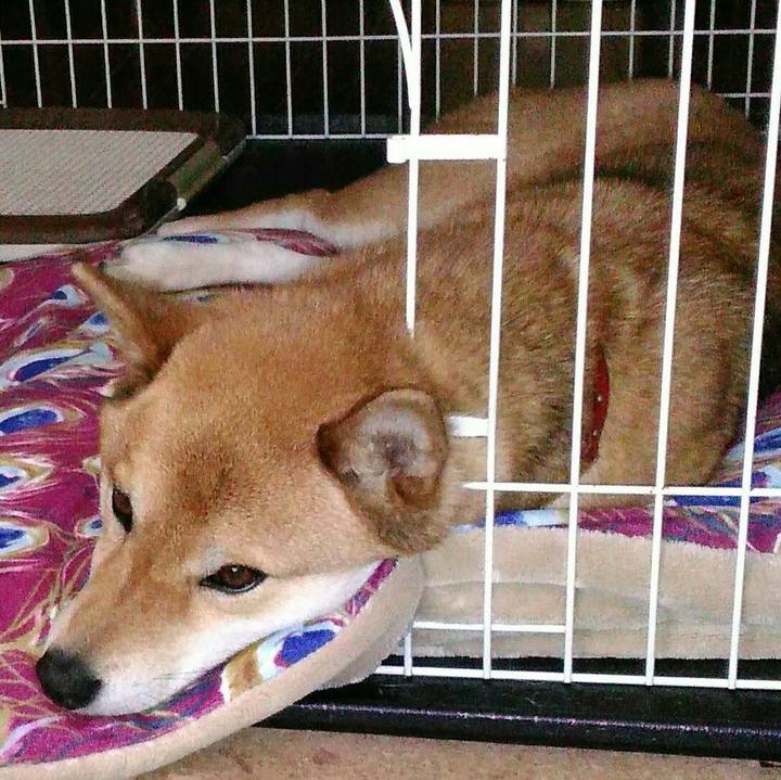 E98c6443 b464 463f 8aae 53d876c81967