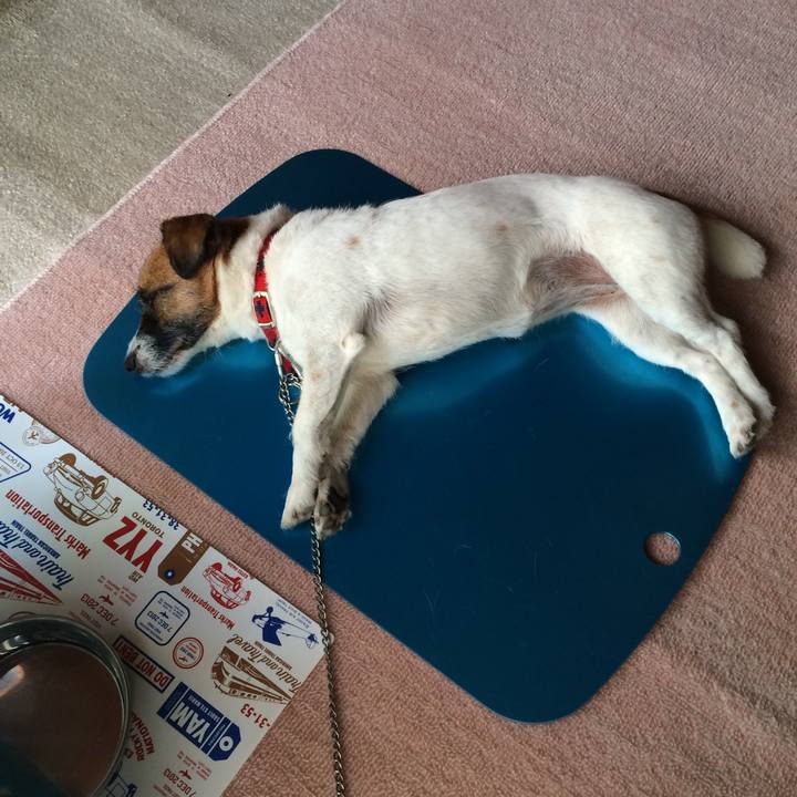 E98cf838 1825 4daf aa8e 9143a852ec4c