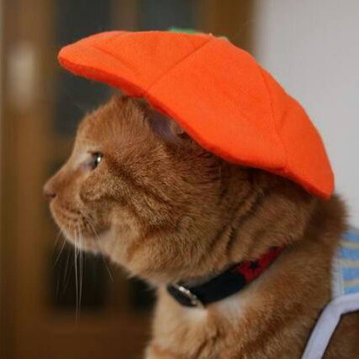 E98db46c 9e39 4cd4 85cf 76bff939ee1d