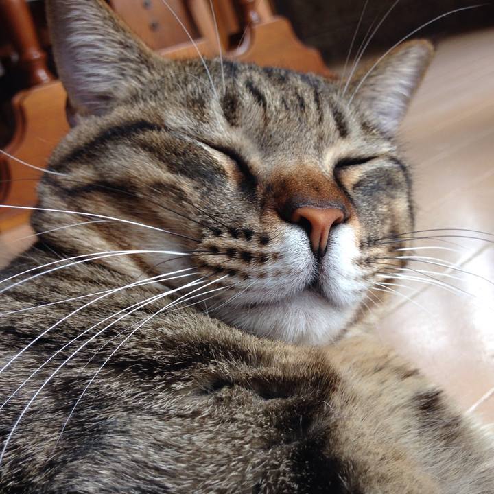 E98dc465 3c47 4be3 a360 966539c99d9e