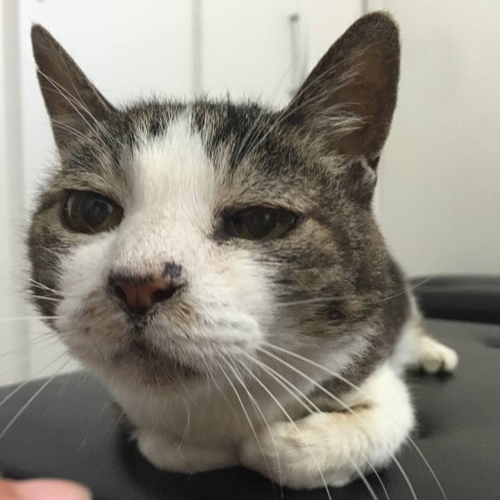 E98dff99 0eb1 4431 9748 4c38d6379fae