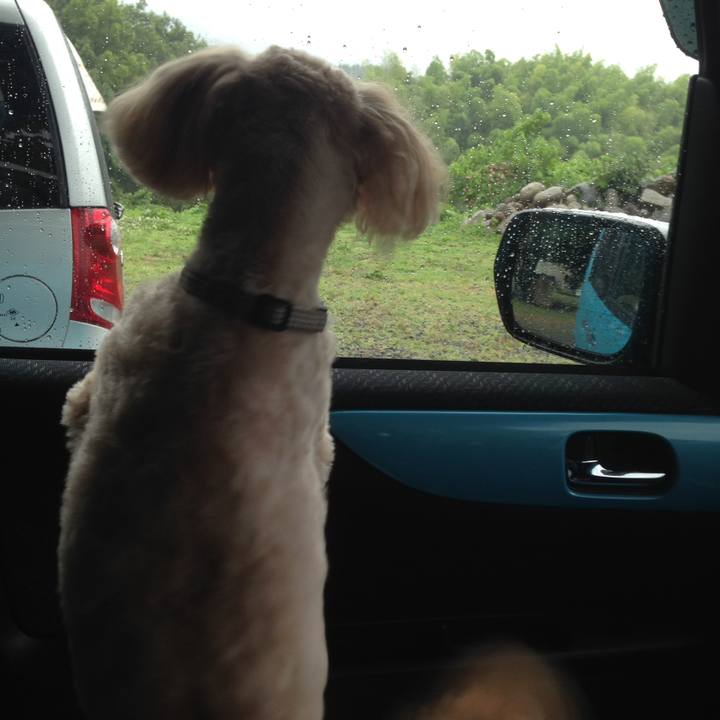 E98e362d 725b 4ad9 bf58 929f5d9e2ed5