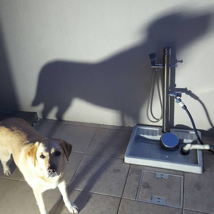 E98e4193 bad1 4a70 8ee1 40b6db402b38