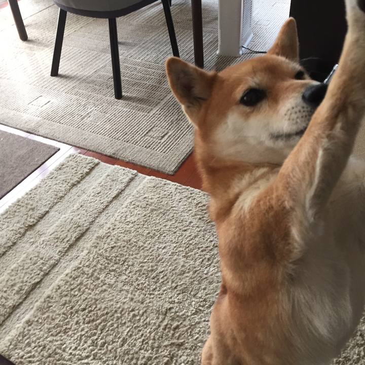 E98e7870 44dd 43ac 97d1 20dc01aa0fdc