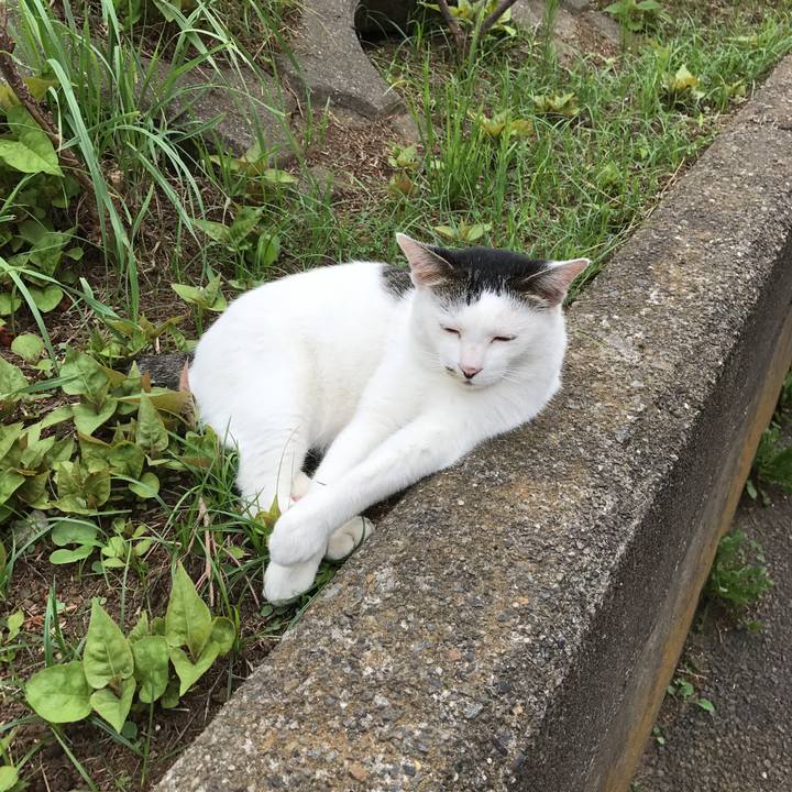 E98ea6c8 7e8d 4b8a 98bb c09d3b455402