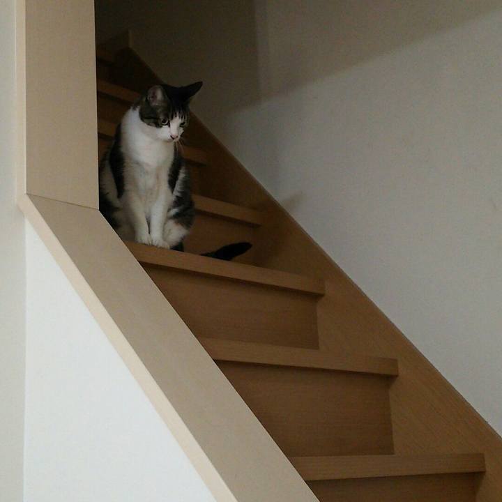 E98eabb1 2e41 4a39 b37f 3ee66164108a