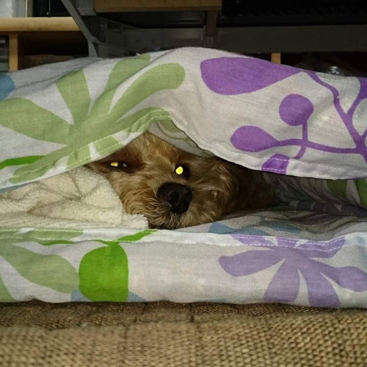 E99006b0 1320 4694 b790 38bc1eca529a