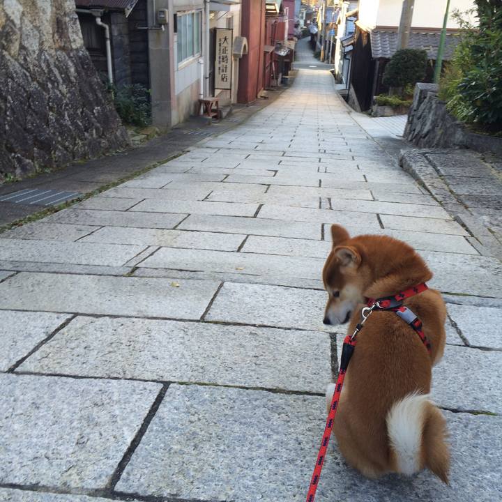 E99010f2 083b 4e9c 9755 bb4b4c9a90f2