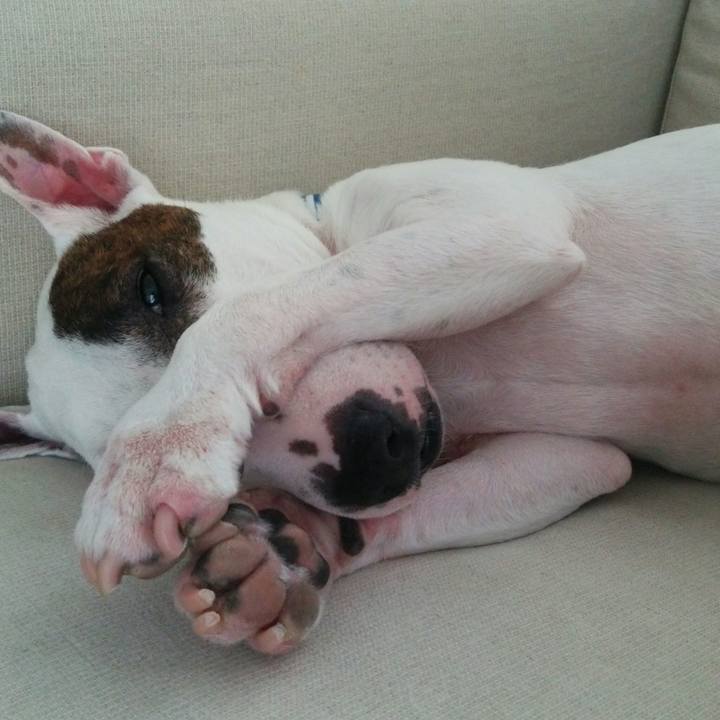 E9901bf6 166f 4acb 8ae9 cca8f648a78c