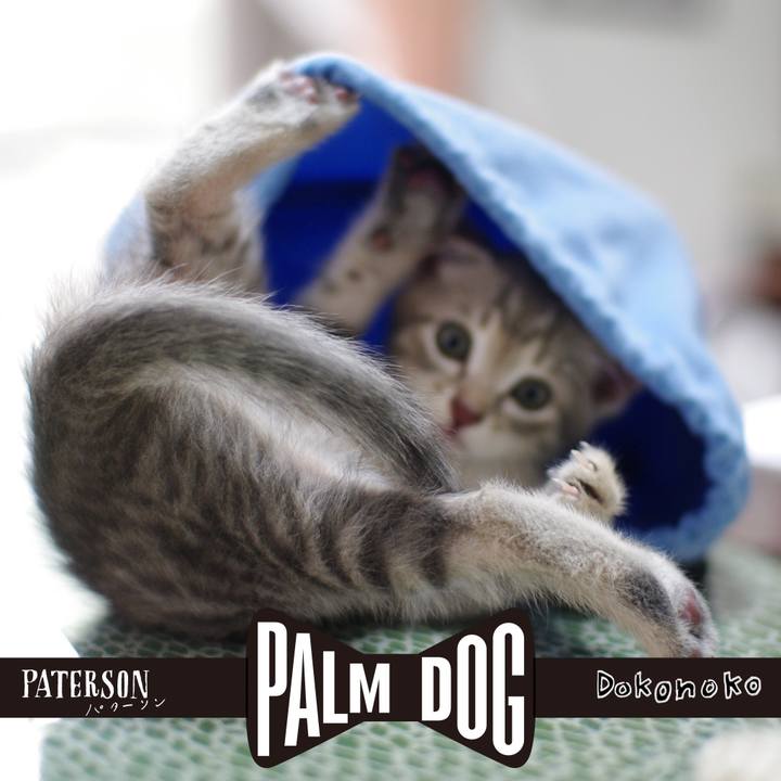 E991f1dc 91d1 48d1 830b f56877ba25ff