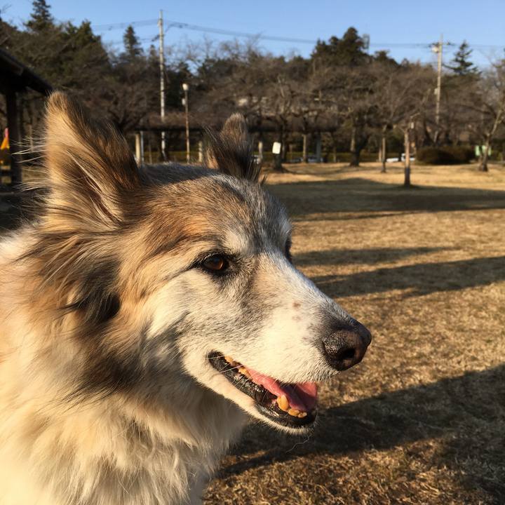 E99294ea 185c 4bc1 aaa0 eb189fdc84e4