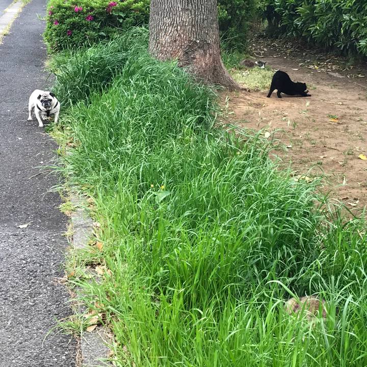 E992de95 6bd9 4b98 82ad e00fbc564be7