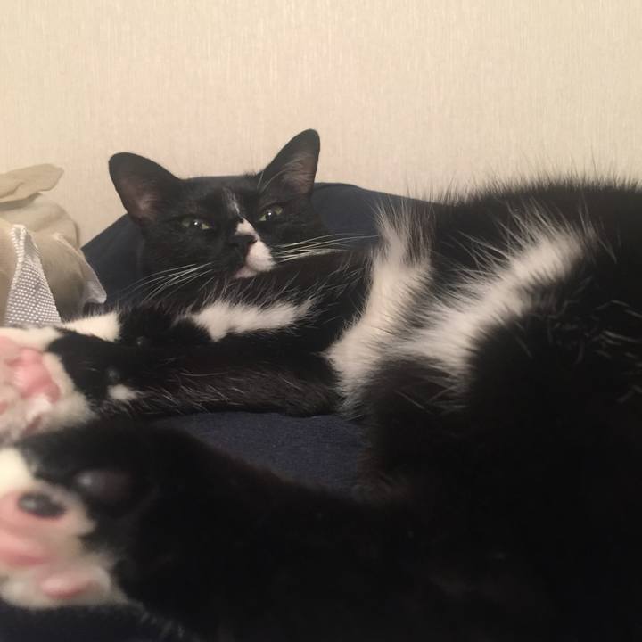 E993d13c e0c5 4804 9619 3910421198cd