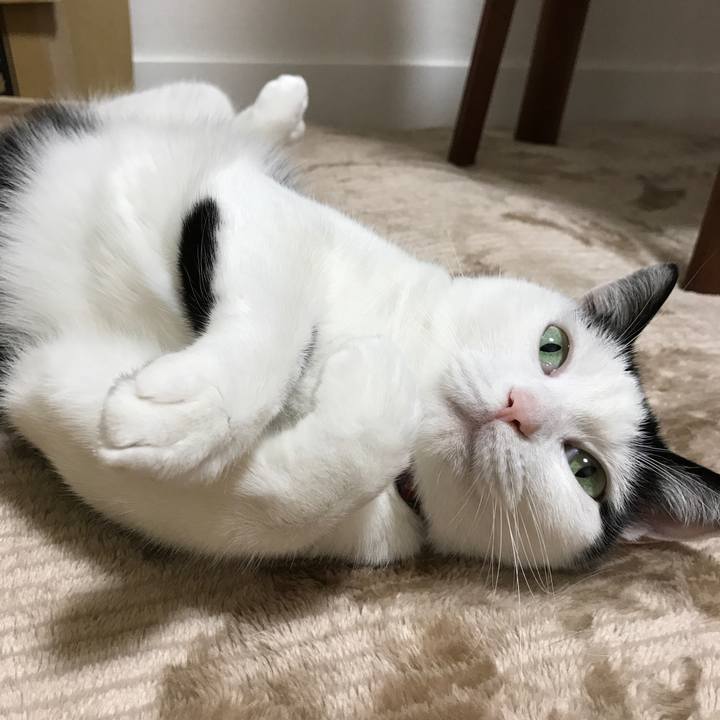 E99403de 6ecb 4dbf afe7 c7baf03f58e1