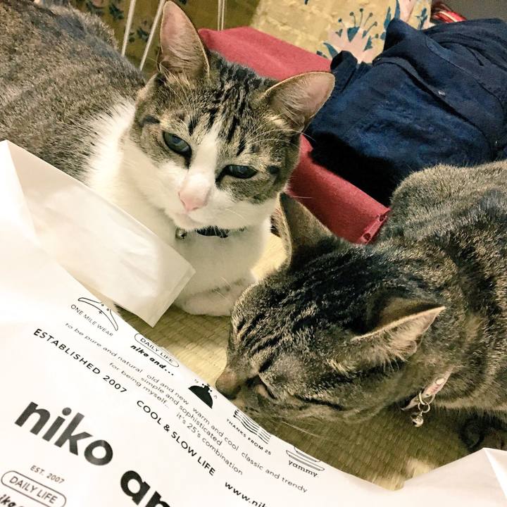 E995060c d933 40d0 bfa0 9142d00cf98d