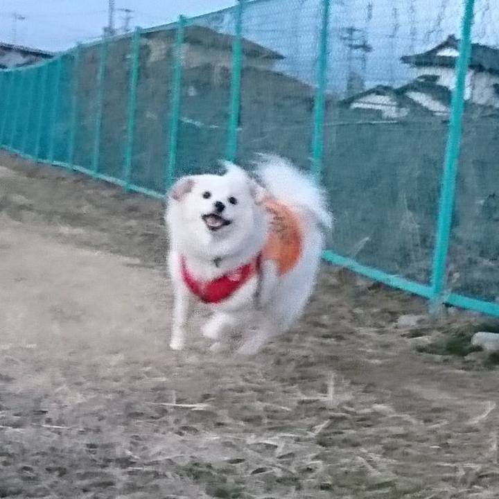 E9954206 39f0 44f8 abc0 336a8fb03a92