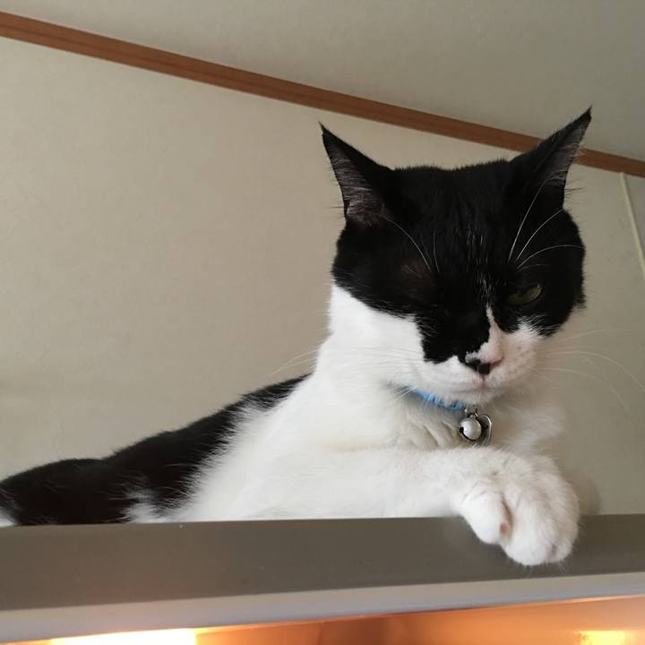 E99552dc c6dd 43da 94ac b2ac742a7f5c