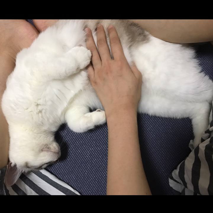 E9956413 1875 43bf 9c1e d43463a0f4d6