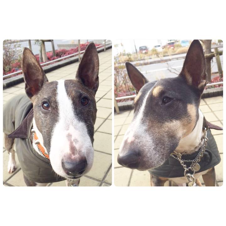 E996c57c e753 494d 8d91 b9c3a092ccc2