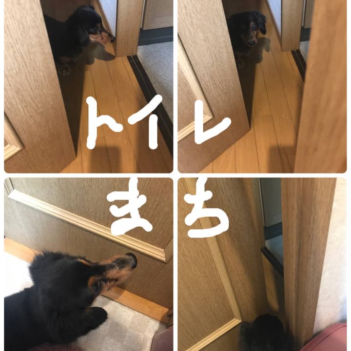 E997307d f71c 4d80 9ded 205c1c2306c3