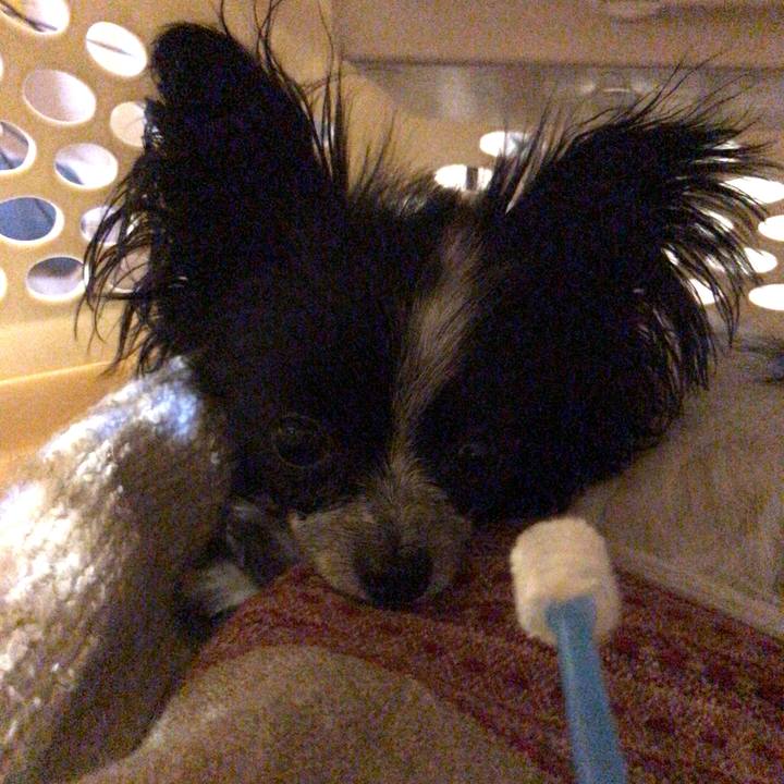 E997f5ab d962 4571 8a58 371a349f450e