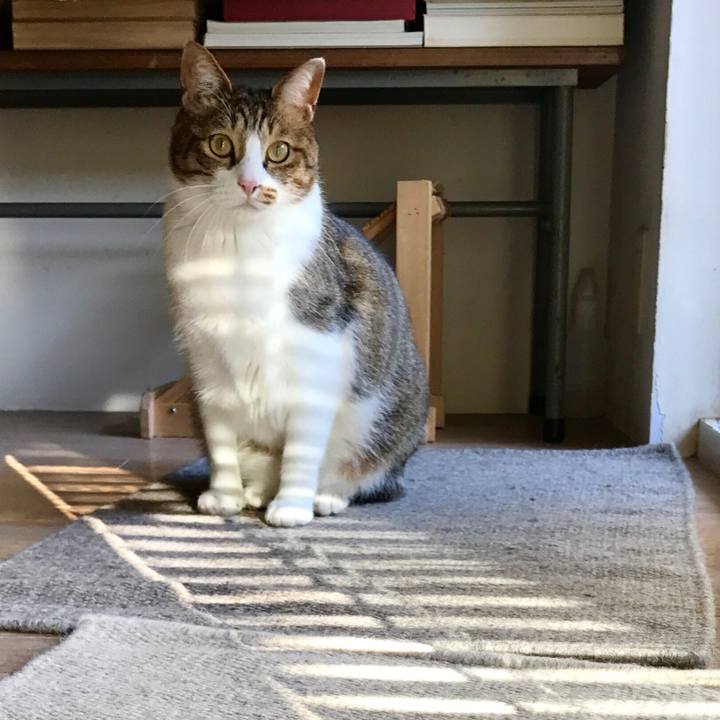 E9982d87 2912 496e ae25 ca66dde05f20