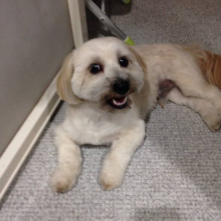 E9984d90 88ee 4f3b 9d87 b248f05bb049