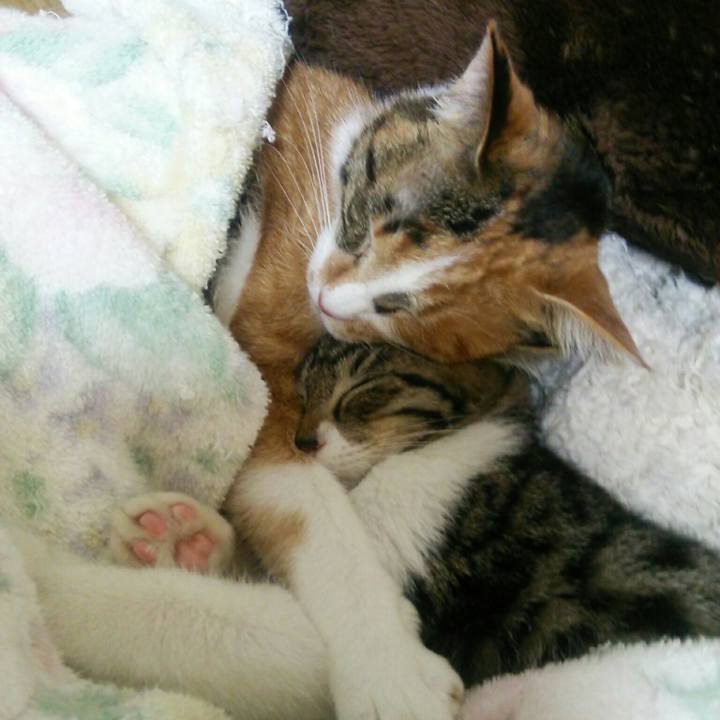 E9988c1c e990 440a 8fc5 246264492550