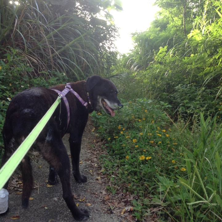 E999c32c d4e1 4904 8ade 9460971e9e3d