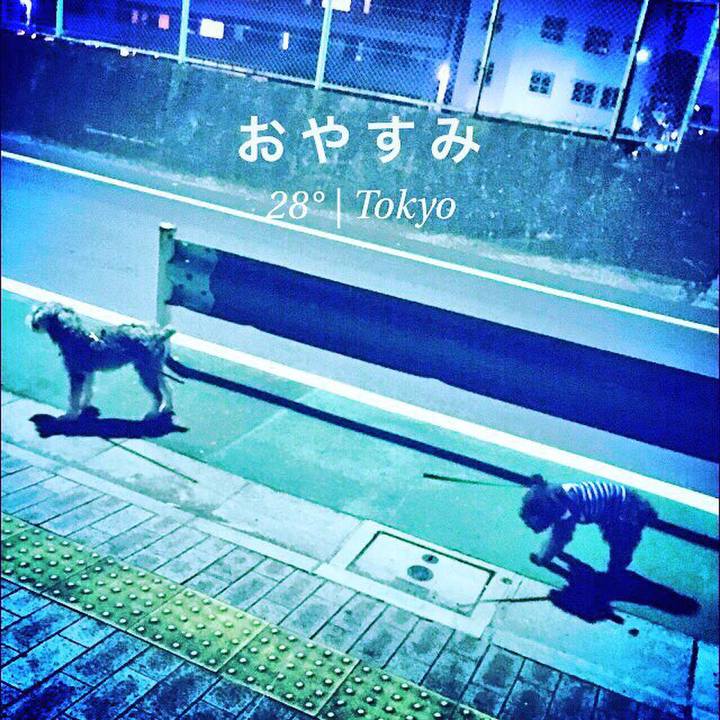 E99a0480 567d 4cb1 815e 95c3d01c8c05