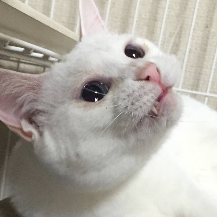 E99a5f06 f22b 4a17 99ee defbebb7ba64