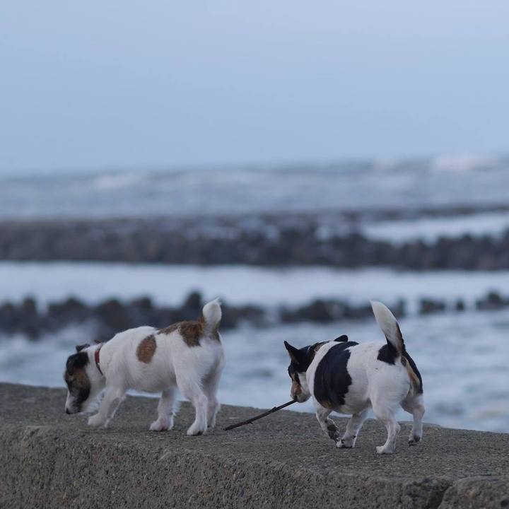 E99a8dc9 c372 4393 bb99 a3d253d86324