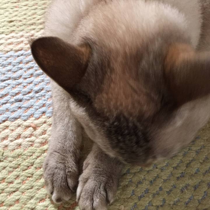 E99b23b7 9834 4062 894f e4d6351d7967