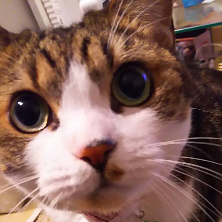 E99b792f 3a1a 48f4 b574 8740eb7e4c6b