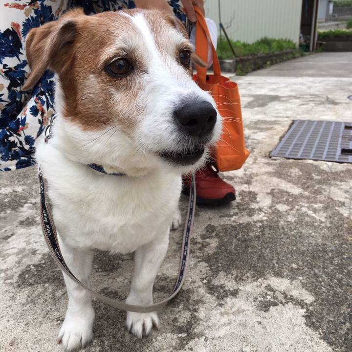 E99bfdc7 795f 426d 90d3 548c1c56a09e