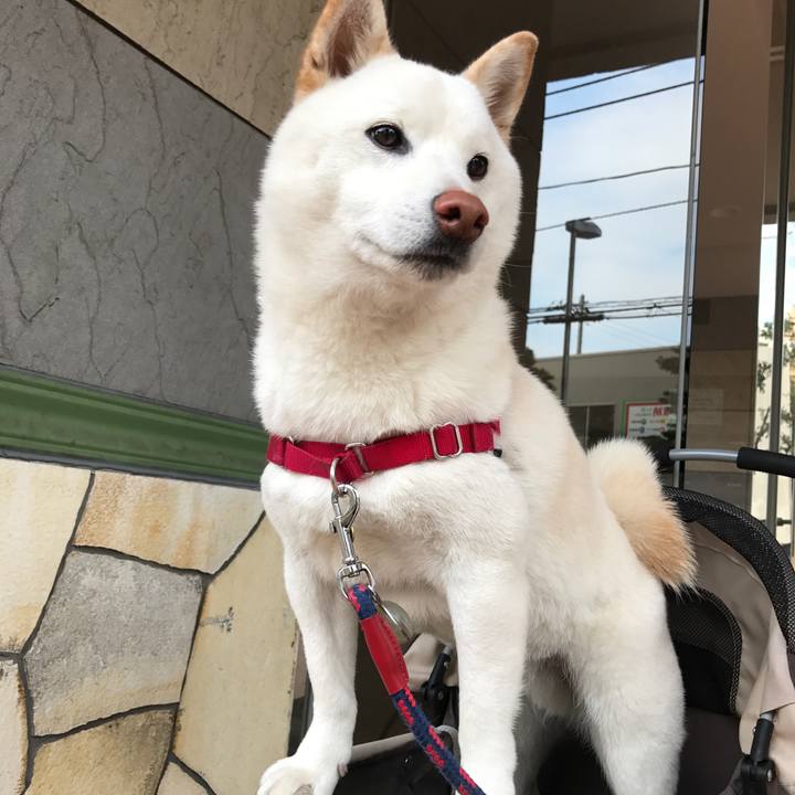 E99c22e4 1b63 443b a86a 57ca7d4813c2