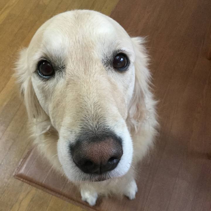 E99c40b0 b195 4d2e bd89 1ff6cda34287