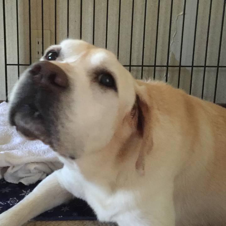 E99c4723 57d4 4a83 ad93 ec3873e3e3ca